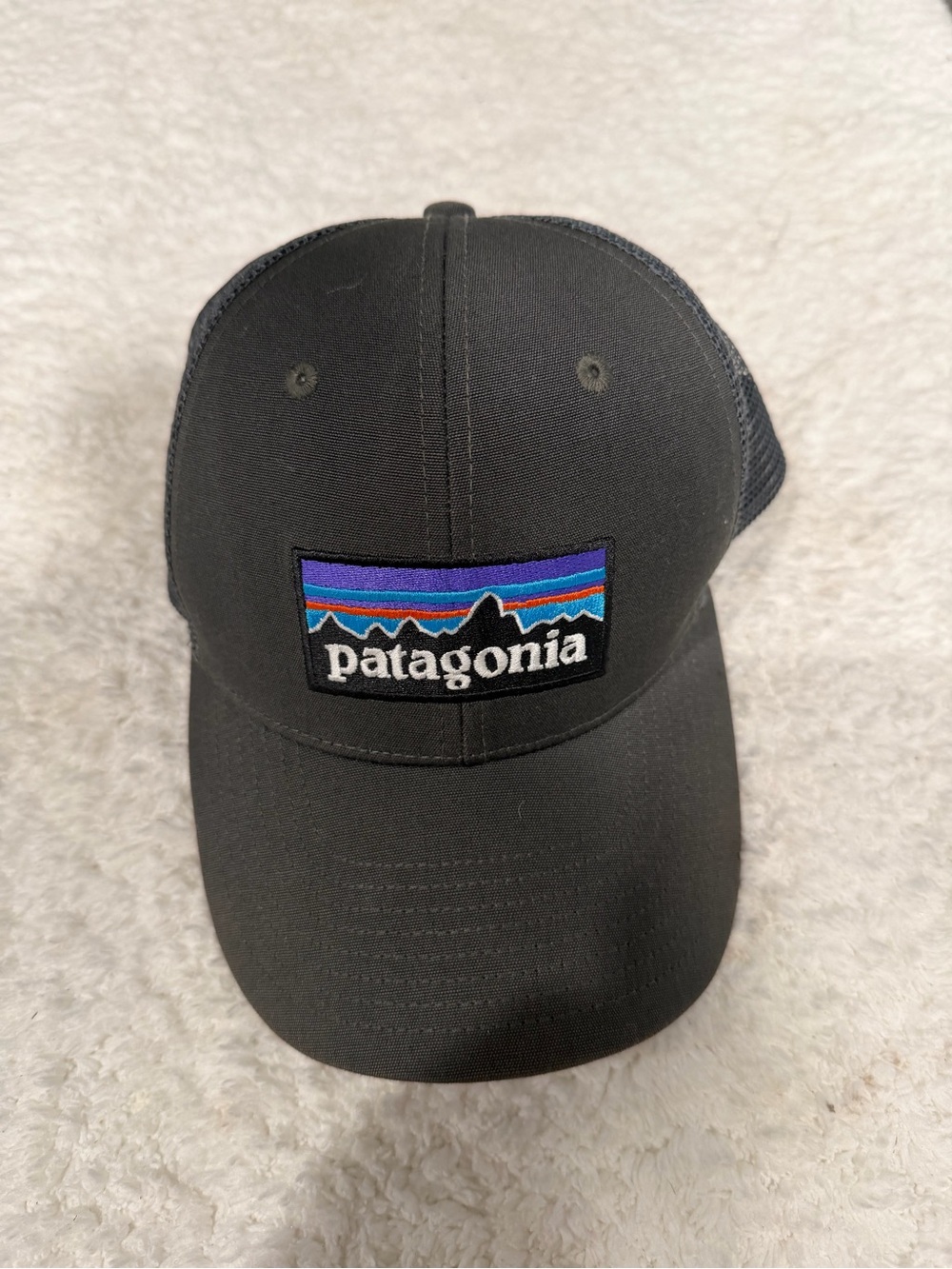 Patagonia gray hat with Blue and Purple Logo